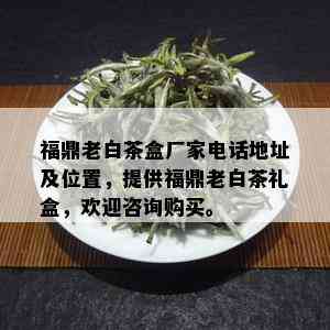 福鼎老白茶盒厂家电话地址及位置，提供福鼎老白茶礼盒，欢迎咨询购买。