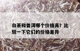 白茶和普洱哪个价格高？比较一下它们的价格差异