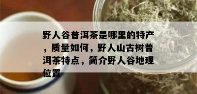 野人谷普洱茶是哪里的特产，质量如何，野人山古树普洱茶特点，简介野人谷地理位置