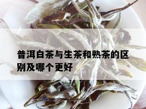 普洱白茶与生茶和熟茶的区别及哪个更好