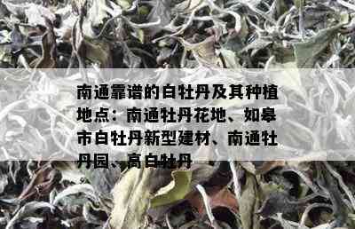 南通靠谱的白牡丹及其种植地点：南通牡丹花地、如皋市白牡丹新型建材、南通牡丹园、高白牡丹