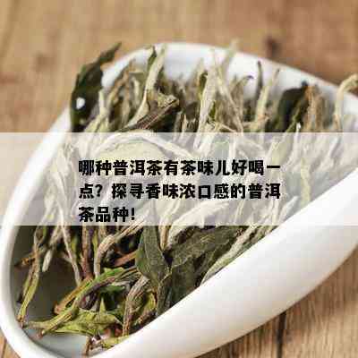 哪种普洱茶有茶味儿好喝一点？探寻香味浓口感的普洱茶品种！