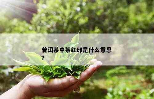 普洱茶中茶红印是什么意思？