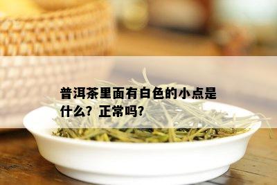 普洱茶里面有白色的小点是什么？正常吗？