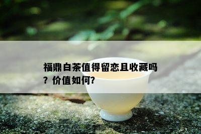 福鼎白茶值得留恋且收藏吗？价值如何？