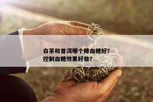 白茶和普洱哪个降血糖好？控制血糖效果好些？