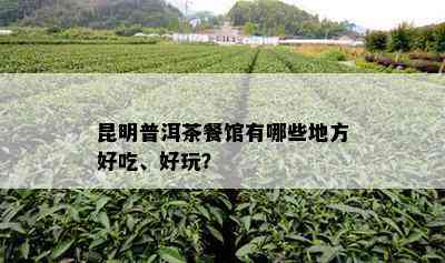 昆明普洱茶餐馆有哪些地方好吃、好玩？