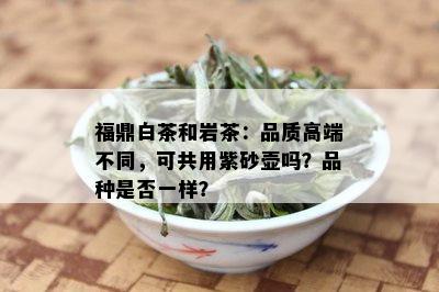 福鼎白茶和岩茶：品质高端不同，可共用紫砂壶吗？品种是否一样？