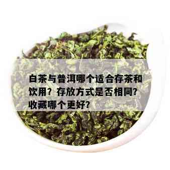 白茶与普洱哪个适合存茶和饮用？存放方式是否相同？收藏哪个更好？