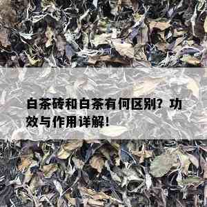 白茶砖和白茶有何区别？功效与作用详解！