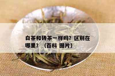 白茶和砖茶一样吗？区别在哪里？（百科 图片）