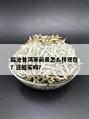 临沧普洱茶前景怎么样现在？还能买吗？