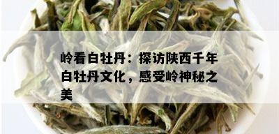 岭看白牡丹：探访陕西千年白牡丹文化，感受岭神秘之美