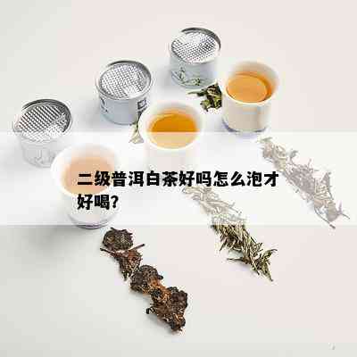 二级普洱白茶好吗怎么泡才好喝？