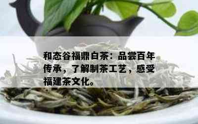 和态谷福鼎白茶：品尝百年传承，了解制茶工艺，感受福建茶文化。