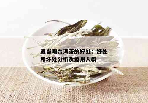 适当喝普洱茶的好处：好处和坏处分析及适用人群