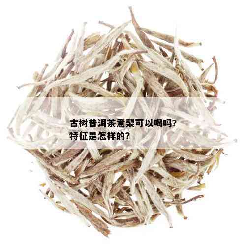 古树普洱茶煮梨可以喝吗？特征是怎样的？