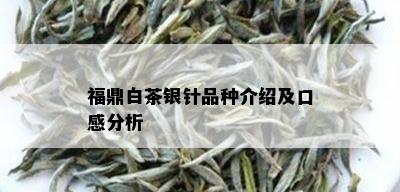 福鼎白茶银针品种介绍及口感分析