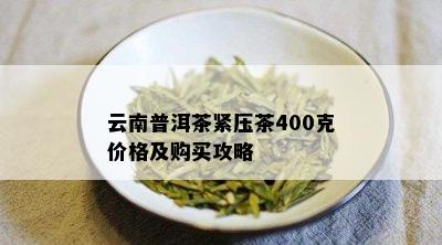 云南普洱茶紧压茶400克价格及购买攻略