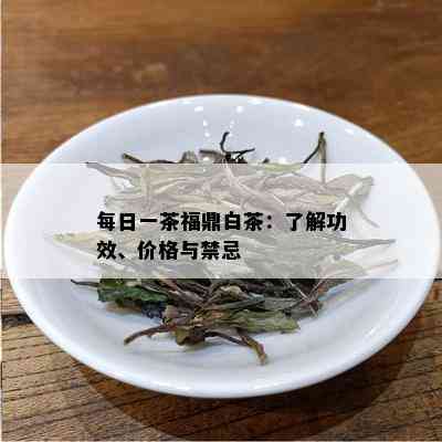 每日一茶福鼎白茶：了解功效、价格与禁忌