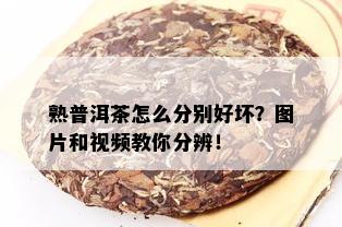 熟普洱茶怎么分别好坏？图片和视频教你分辨！