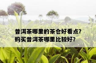 普洱茶哪里的茶仓好看点？购买普洱茶哪里比较好？