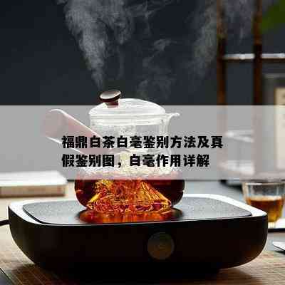 福鼎白茶白毫鉴别方法及真假鉴别图，白毫作用详解