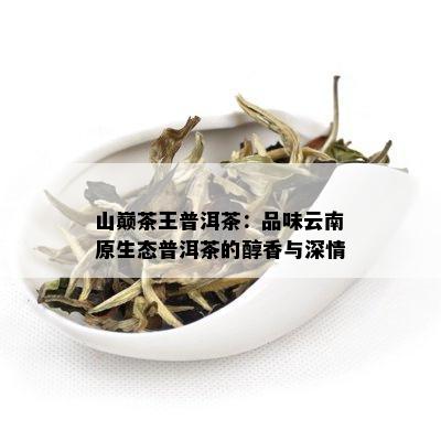 山巅茶王普洱茶：品味云南原生态普洱茶的醇香与深情