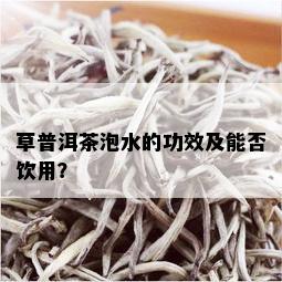 草普洱茶泡水的功效及能否饮用？