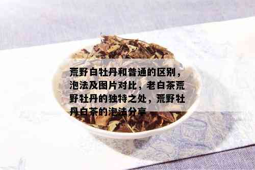 荒野白牡丹和普通的区别，泡法及图片对比，老白茶荒野牡丹的独特之处，荒野牡丹白茶的泡法分享