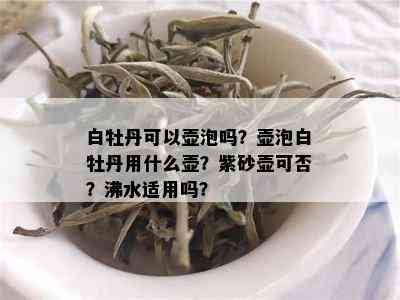 白牡丹可以壶泡吗？壶泡白牡丹用什么壶？紫砂壶可否？沸水适用吗？