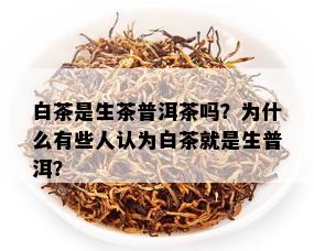 白茶是生茶普洱茶吗？为什么有些人认为白茶就是生普洱？