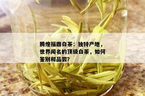 腾煌福鼎白茶：独特产地，世界闻名的顶级白茶，如何鉴别和品尝？