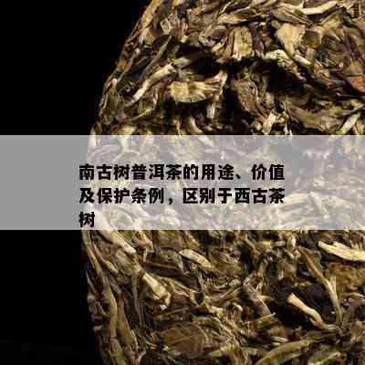 南古树普洱茶的用途、价值及保护条例，区别于西古茶树