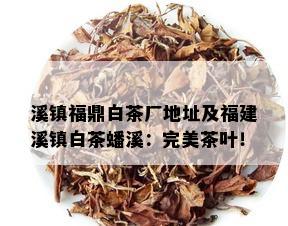 溪镇福鼎白茶厂地址及福建溪镇白茶蟠溪：完美茶叶！