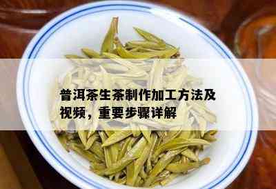 普洱茶生茶制作加工方法及视频，重要步骤详解