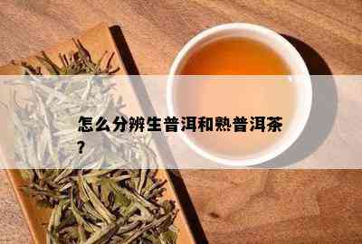 怎么分辨生普洱和熟普洱茶？