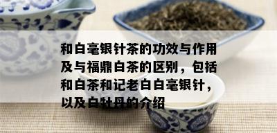 和白毫银针茶的功效与作用及与福鼎白茶的区别，包括和白茶和记老白白毫银针，以及白牡丹的介绍