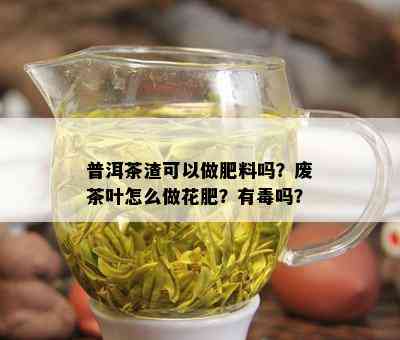 普洱茶渣可以做肥料吗？废茶叶怎么做花肥？有吗？