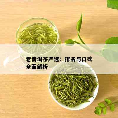 老普洱茶严选：排名与口碑全面解析