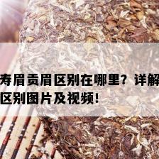 寿眉贡眉区别在哪里？详解区别图片及视频！