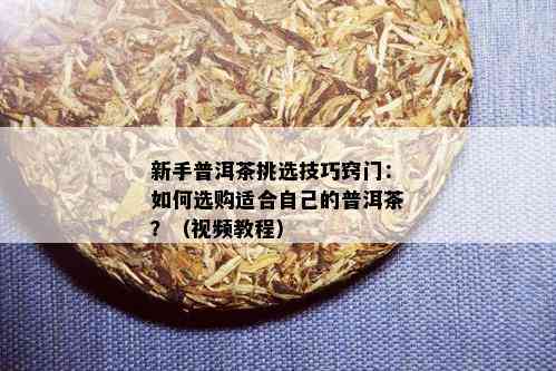 新手普洱茶挑选技巧窍门：如何选购适合自己的普洱茶？（视频教程）