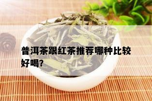 普洱茶跟红茶推荐哪种比较好喝？