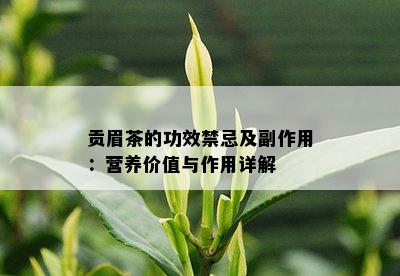 贡眉茶的功效禁忌及副作用：营养价值与作用详解