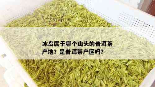 冰岛属于哪个山头的普洱茶产地？是普洱茶产区吗？