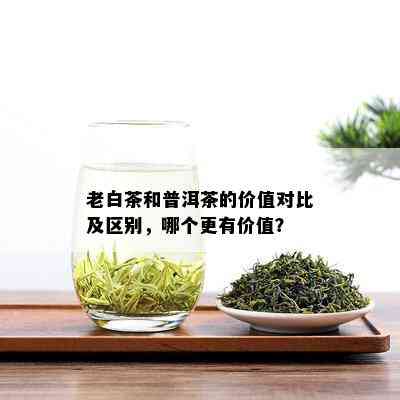 老白茶和普洱茶的价值对比及区别，哪个更有价值？