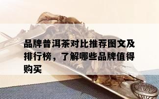 品牌普洱茶对比推荐图文及排行榜，了解哪些品牌值得购买