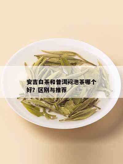 安吉白茶和普洱闷泡茶哪个好？区别与推荐