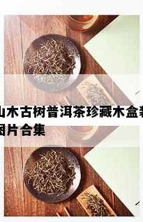 山木古树普洱茶珍藏木盒装图片合集