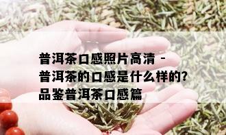 普洱茶口感照片高清 - 普洱茶的口感是什么样的？品鉴普洱茶口感篇